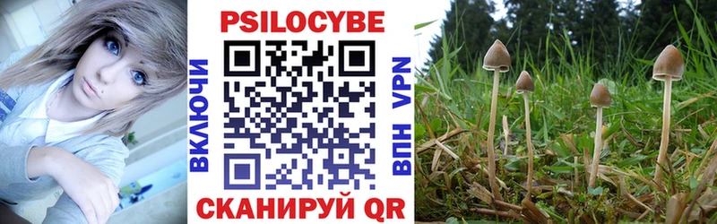 наркотики  Рассказово  Галлюциногенные грибы Psilocybine cubensis 
